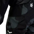 31301247_7.webp